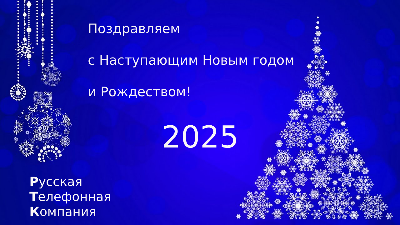 С Наступающим Новым 2025 годом !